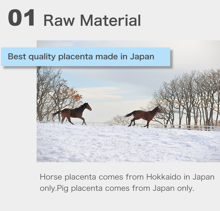 Best quality placenta made in Japan